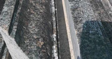 驻马店英国棕别墅线条